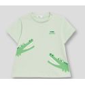 CAMISETA BASICA NIÑO BEBE