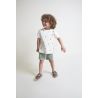 CONJUNTO BEBE NIÑO AVEJA VERDE ICEBERG